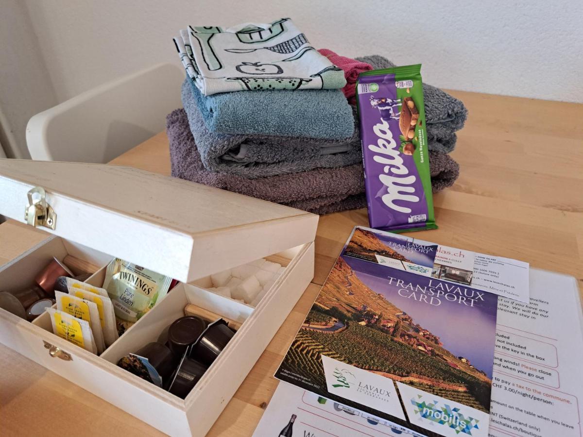 "Les Echalas" Appartement Independant Avec Cuisine En Lavaux Unesco Chexbres Bagian luar foto